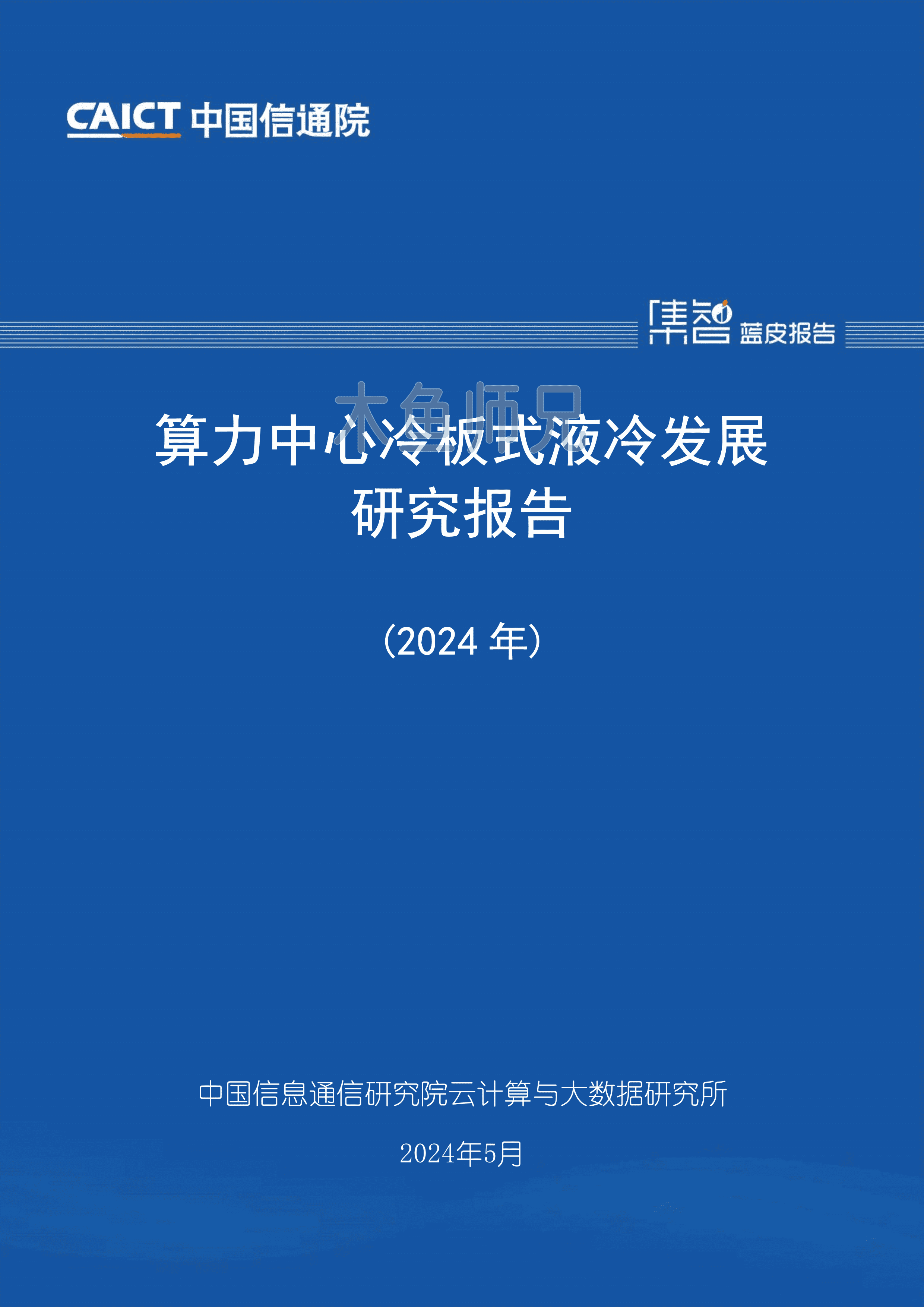 2024年(37页)算力中心冷板式液冷发展研究报告（2024年）.pdf